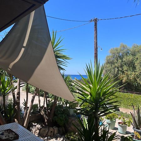 Elena Limnos Beach Volissos Dış mekan fotoğraf